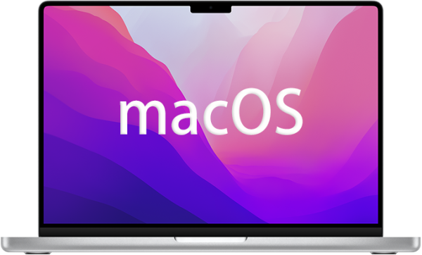 macOS Ventura13.0Beta11(22A5373b).iso下载